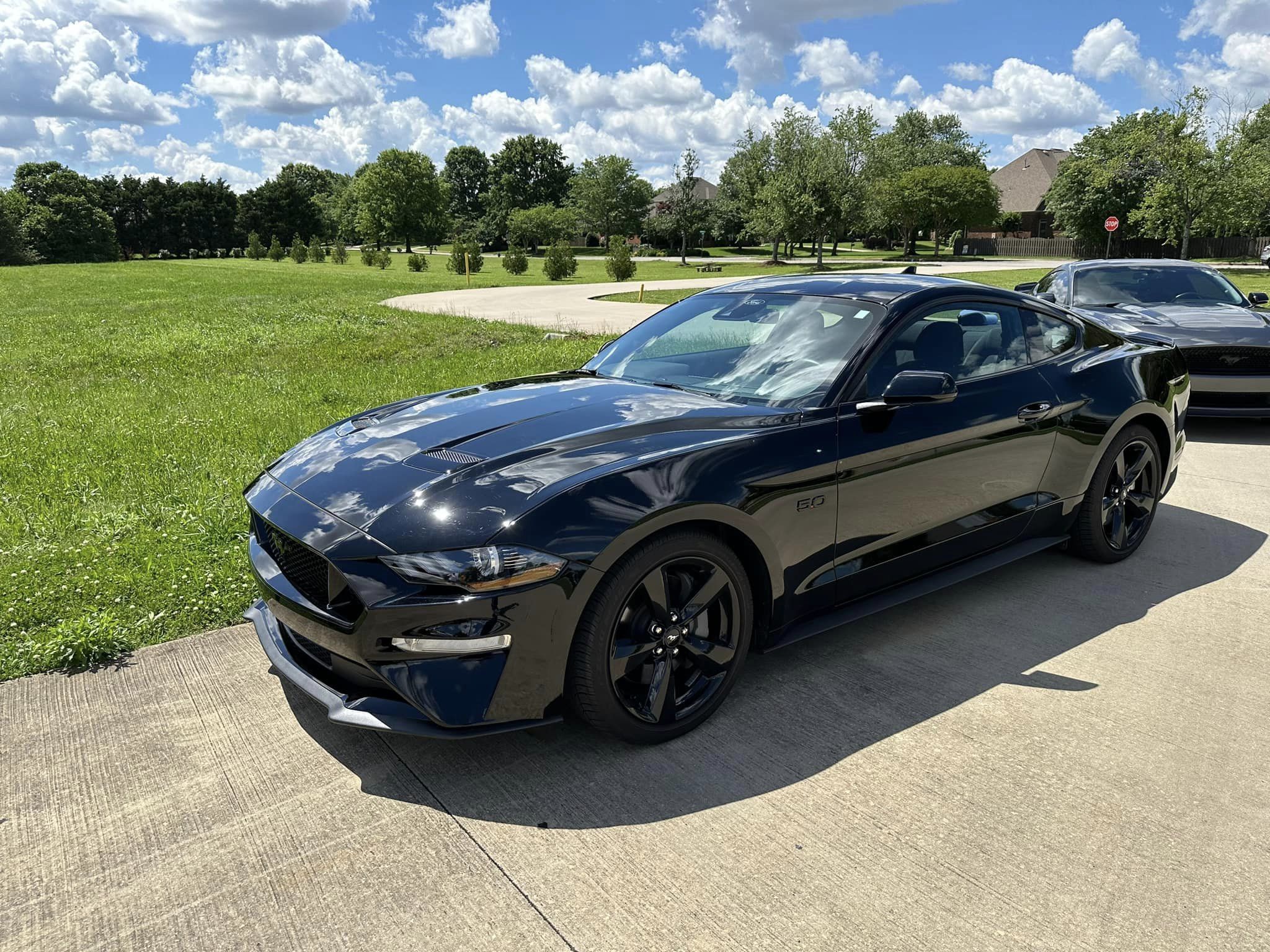 Car show picture