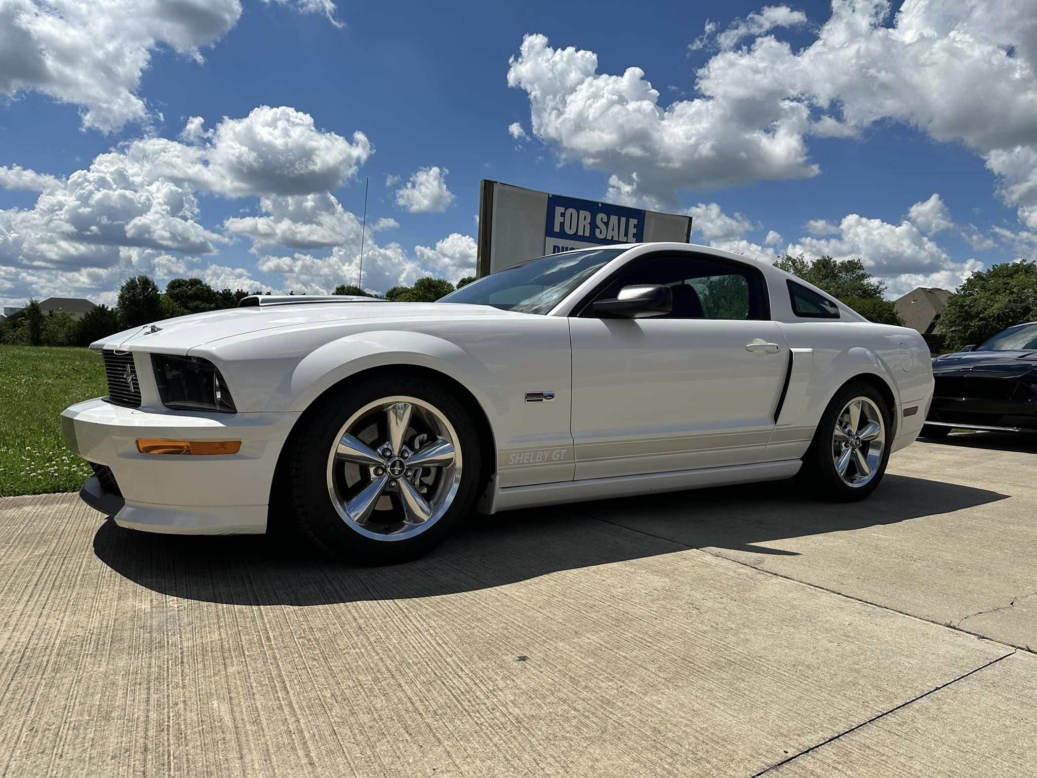 Car show picture