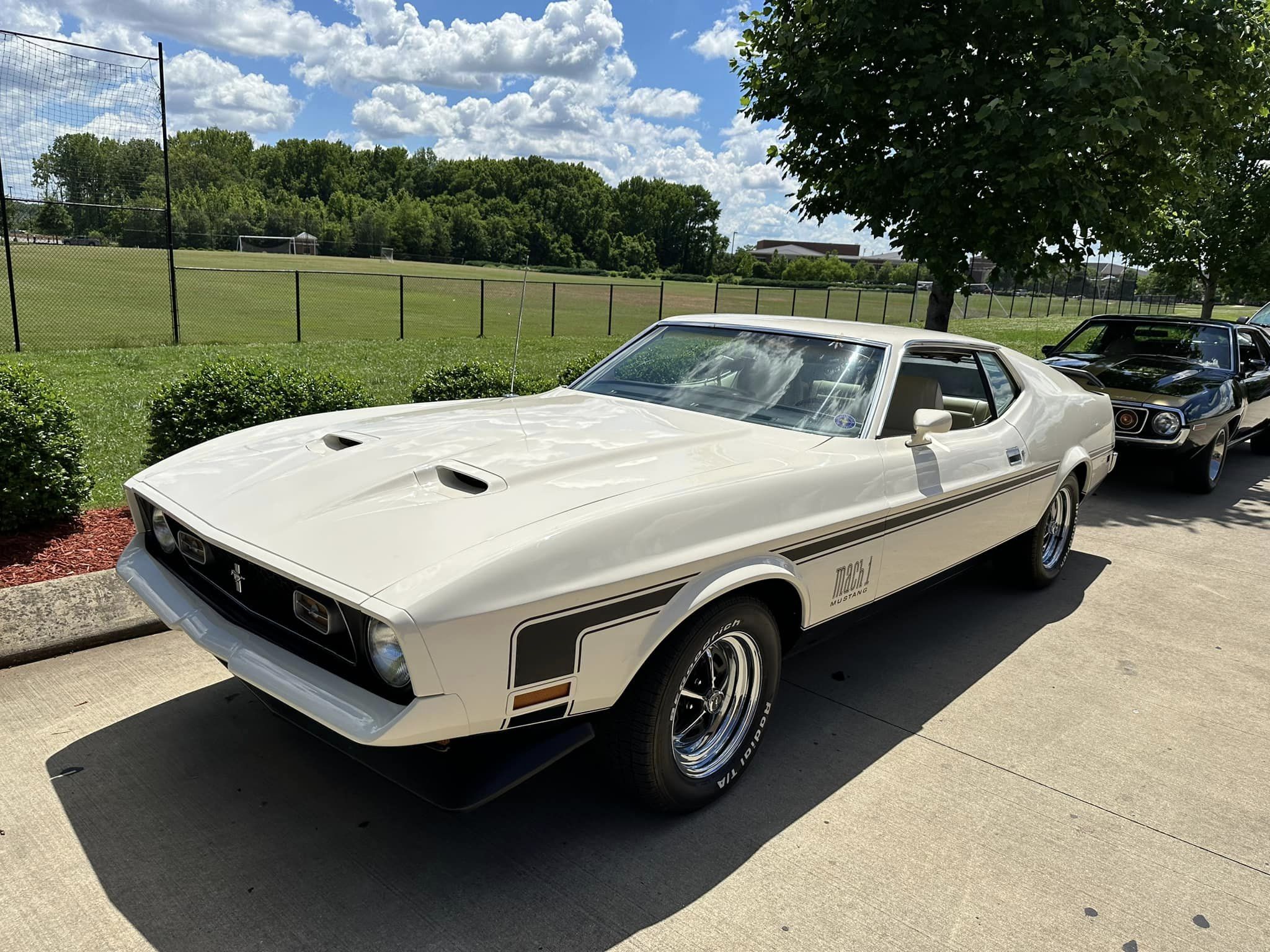 Car show picture