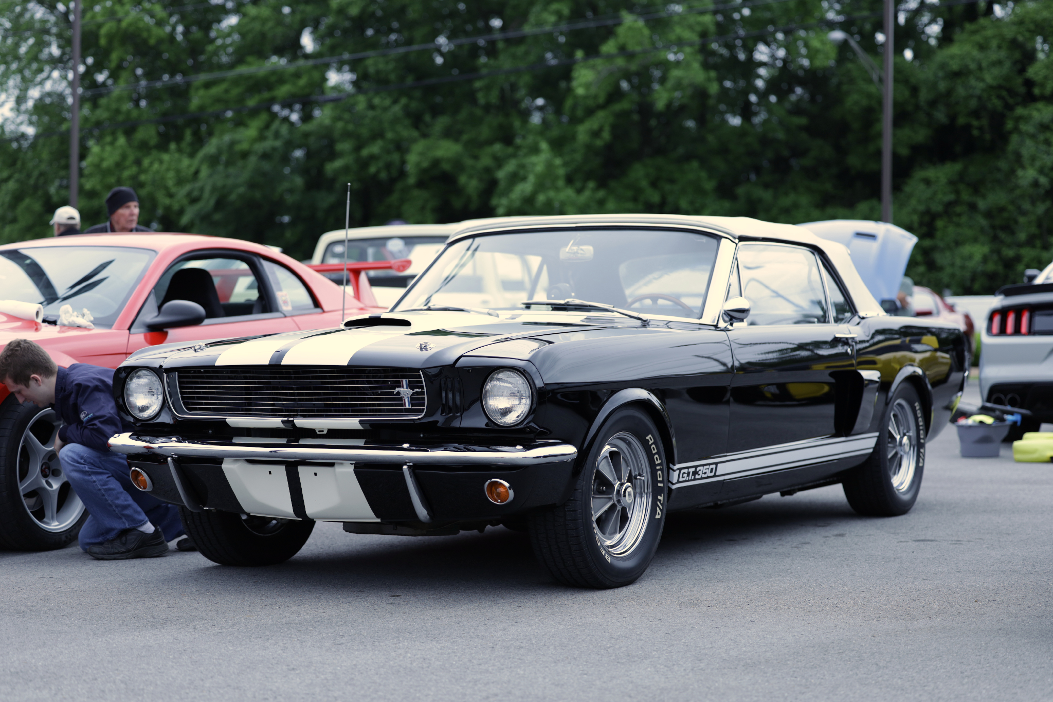 Car show picture