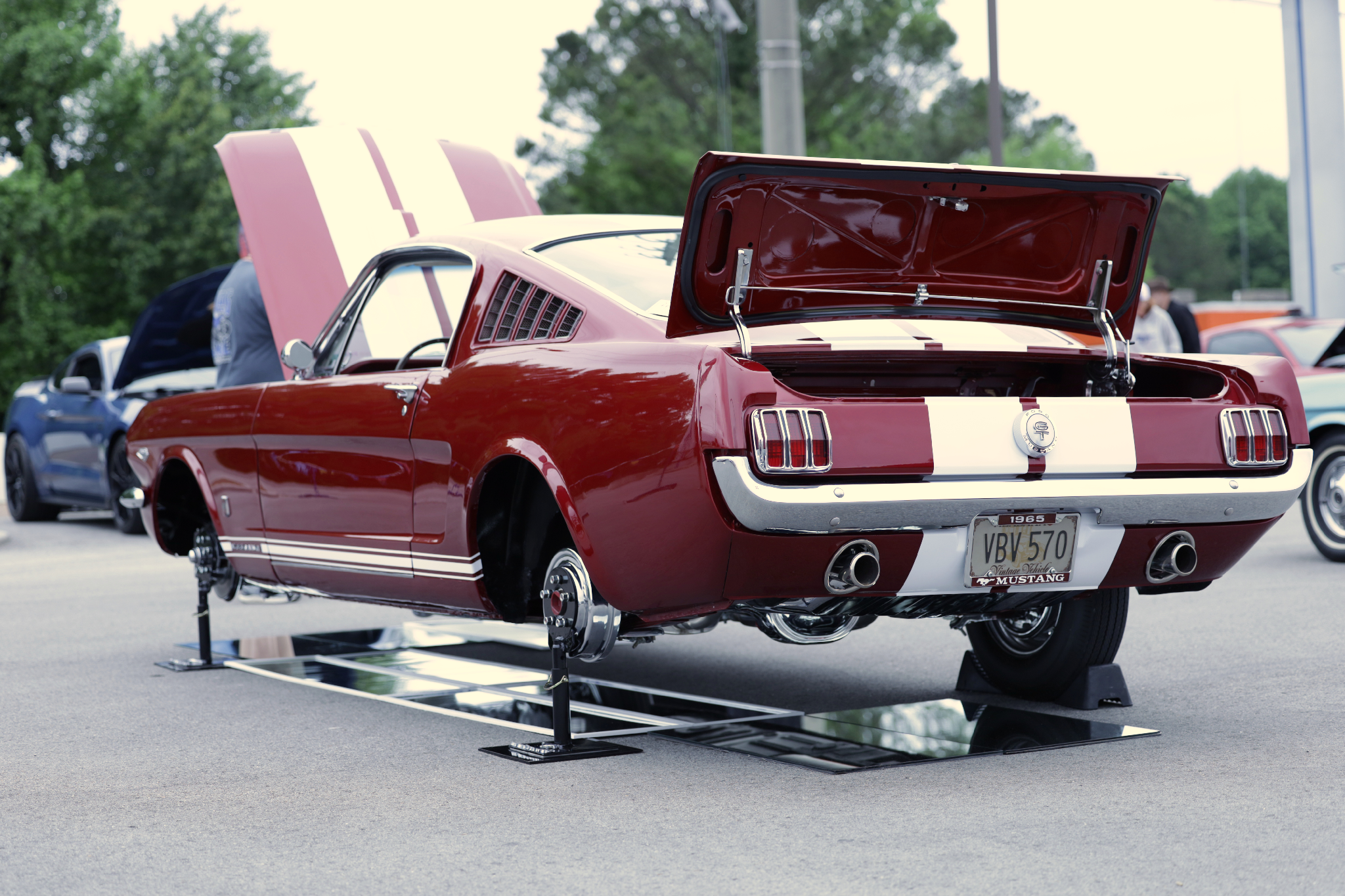 Car show picture
