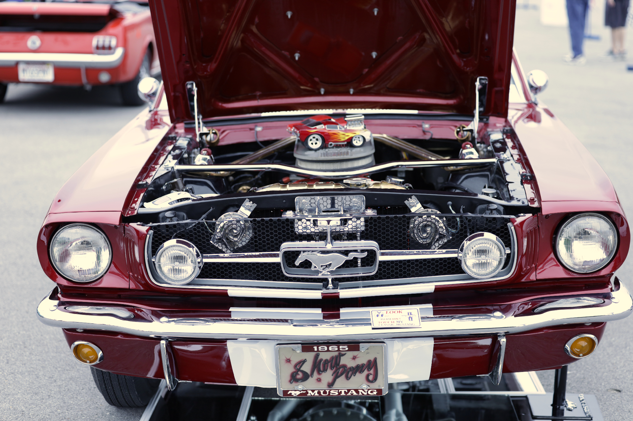 Car show picture