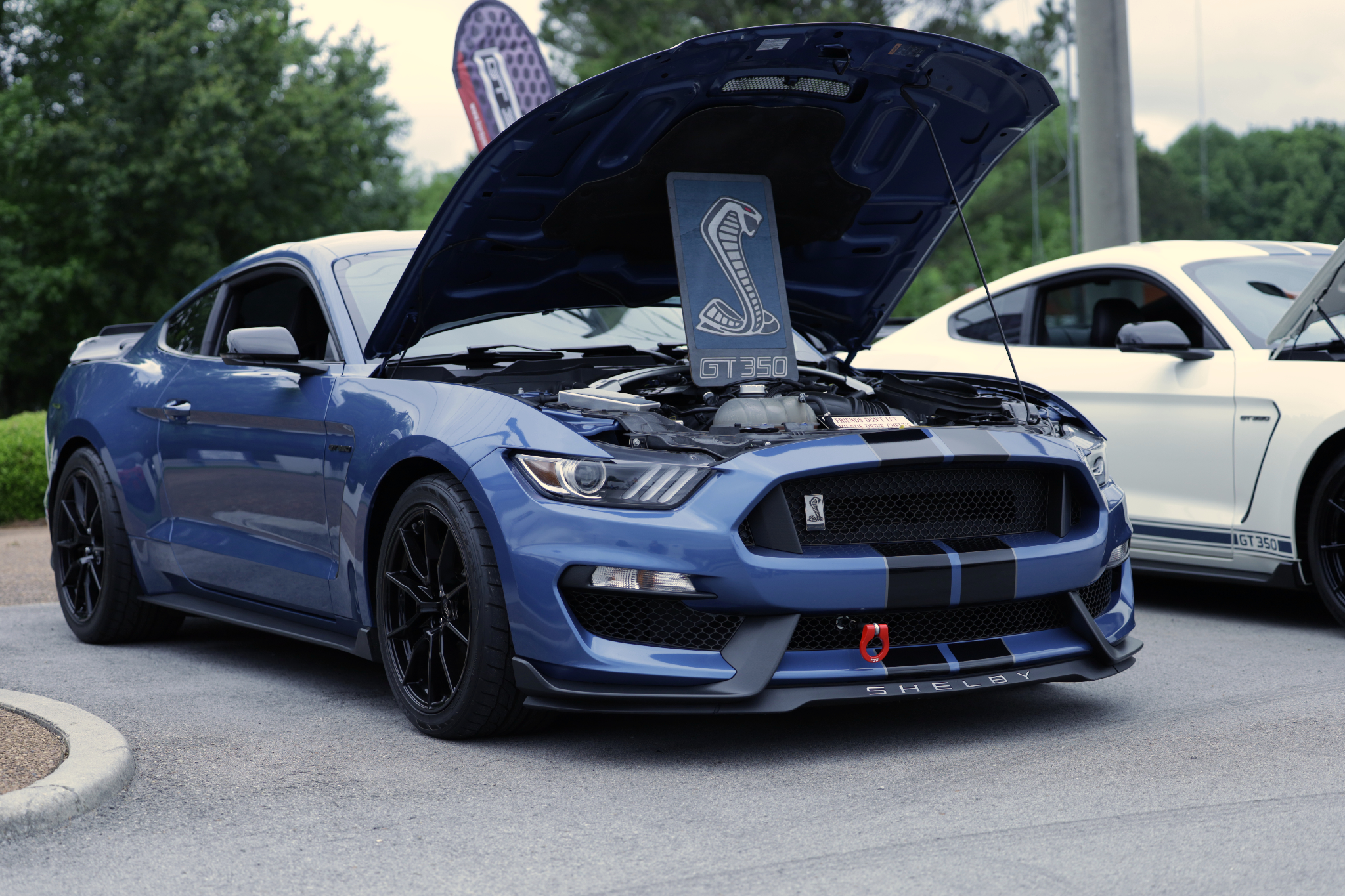 Car show picture
