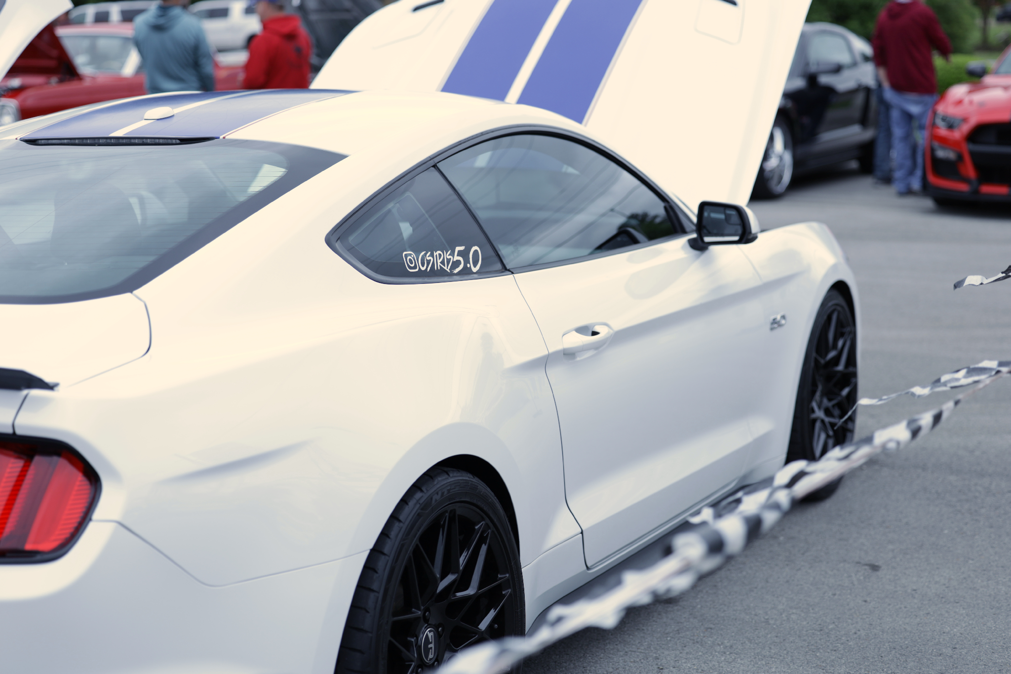 Car show picture