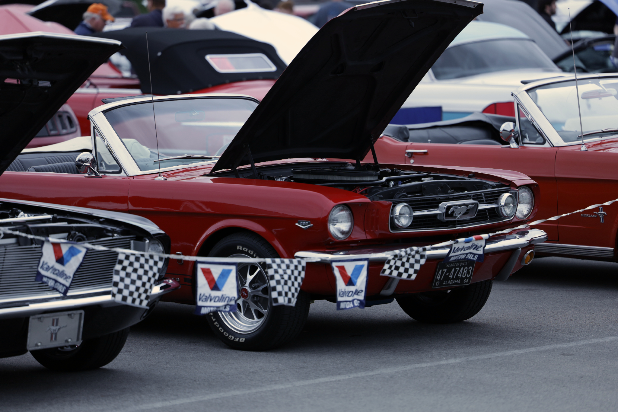 Car show picture