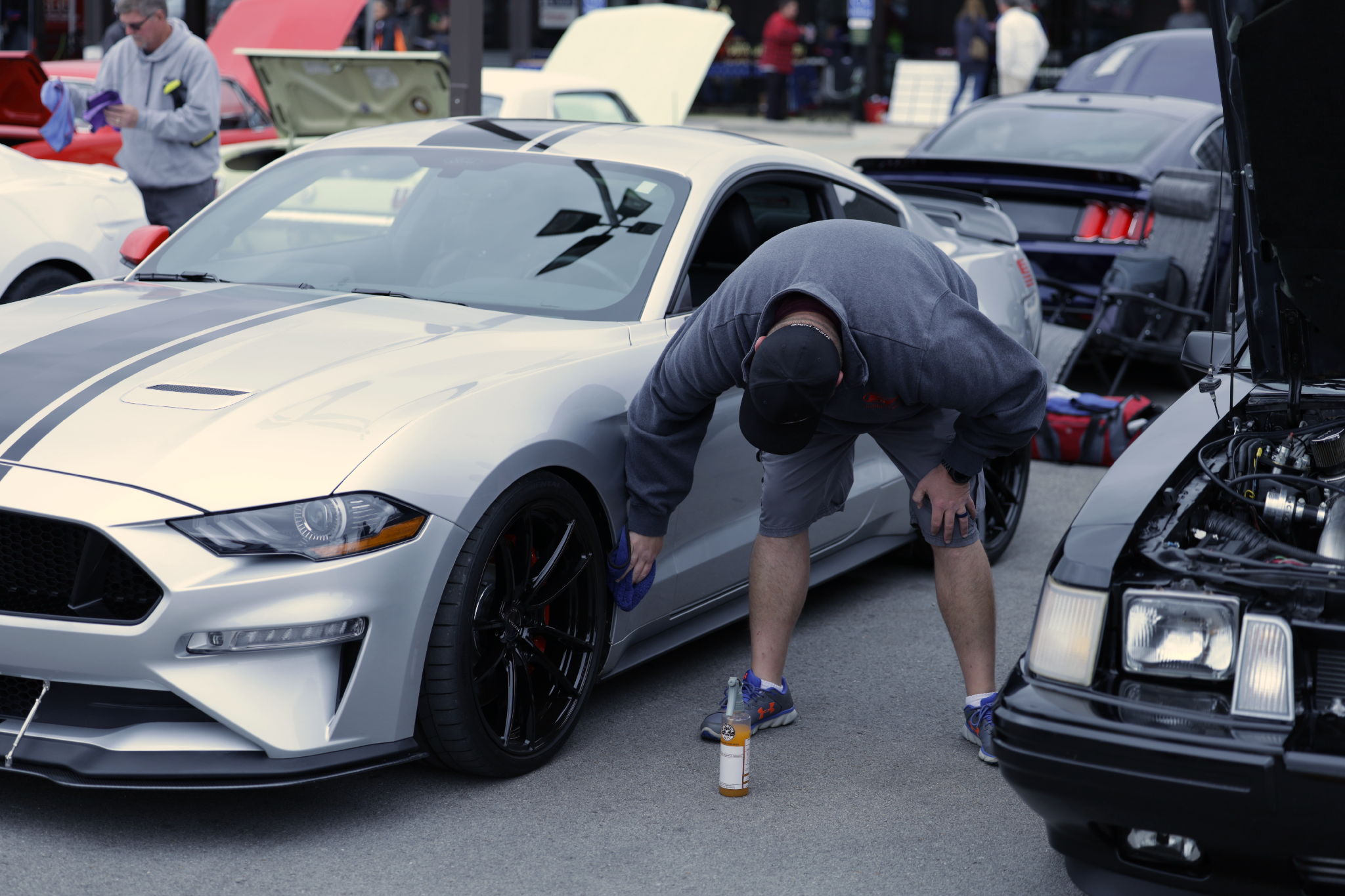 Car show picture