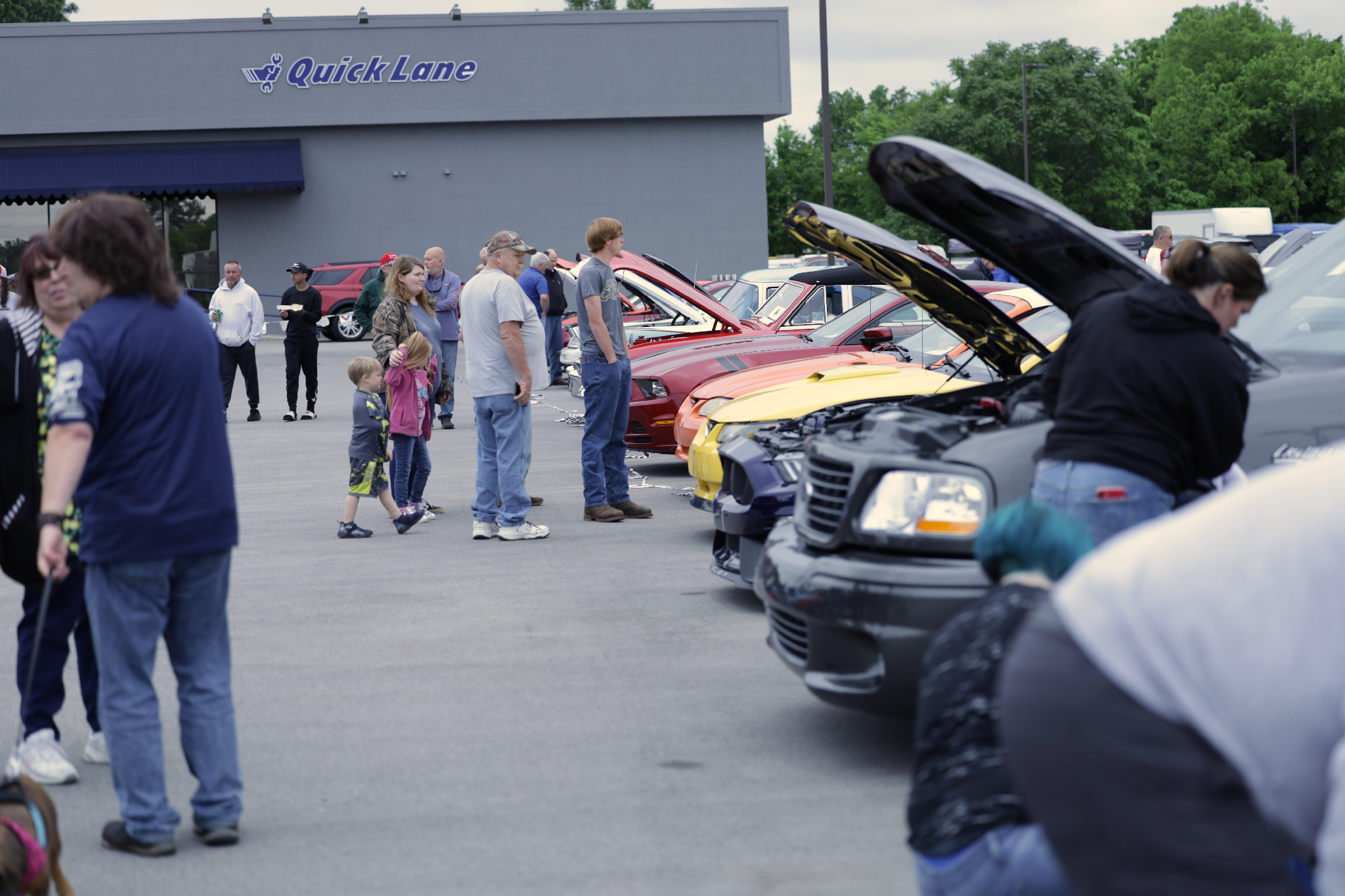 Car show picture