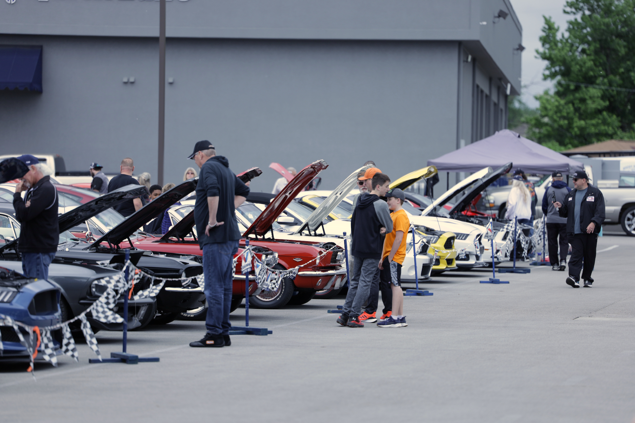 Car show picture