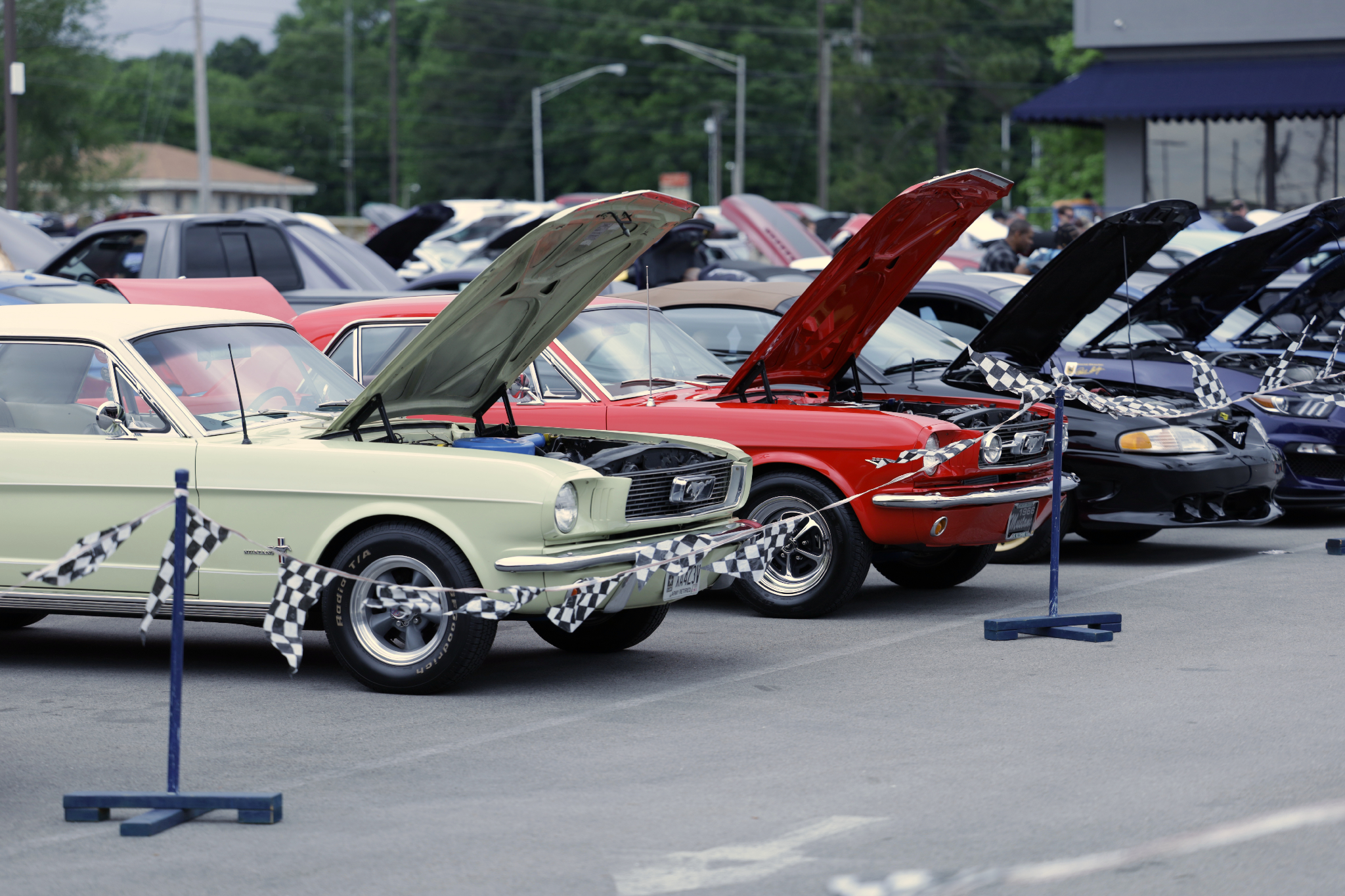 Car show picture