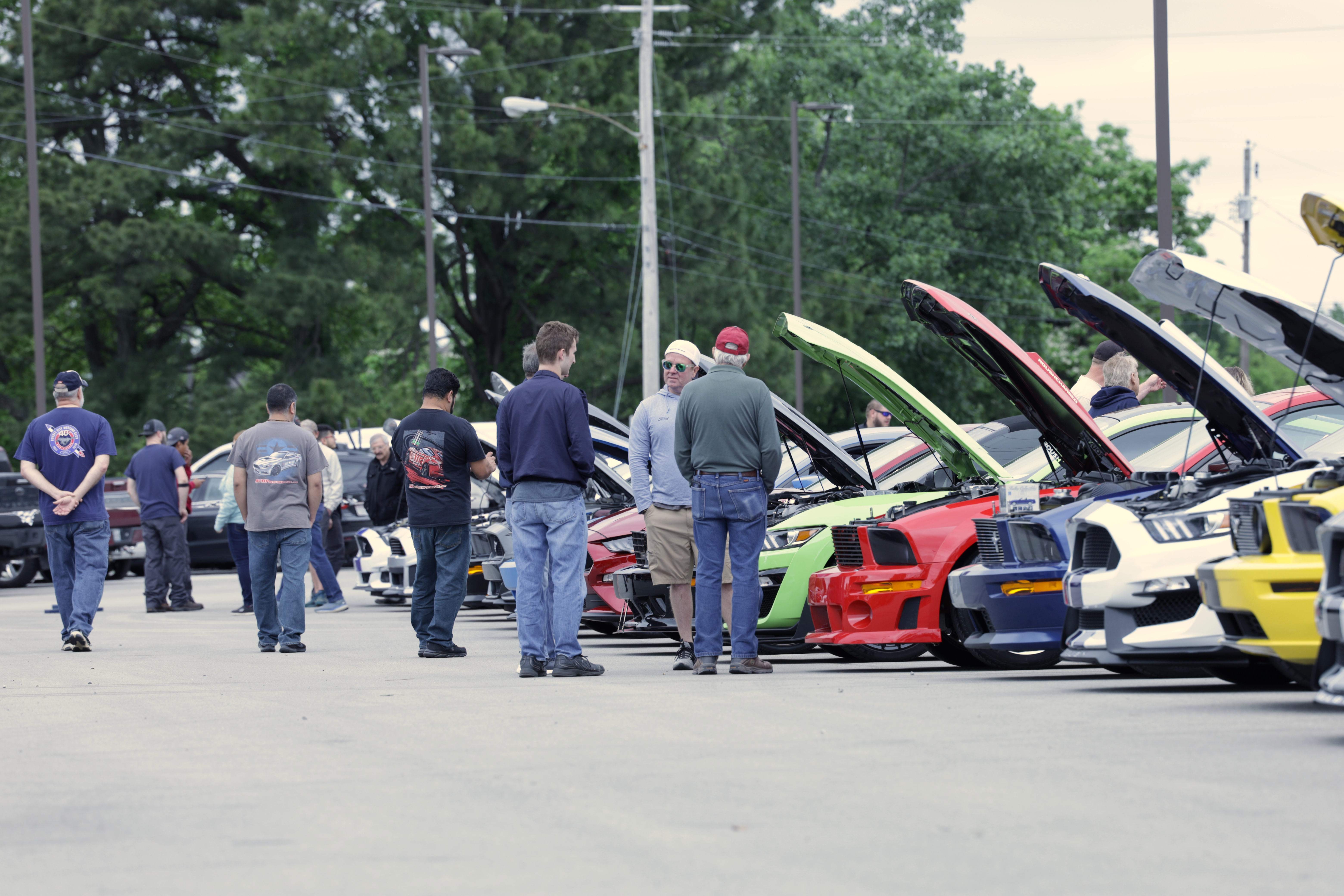 A field of Mustangs with hoods raised